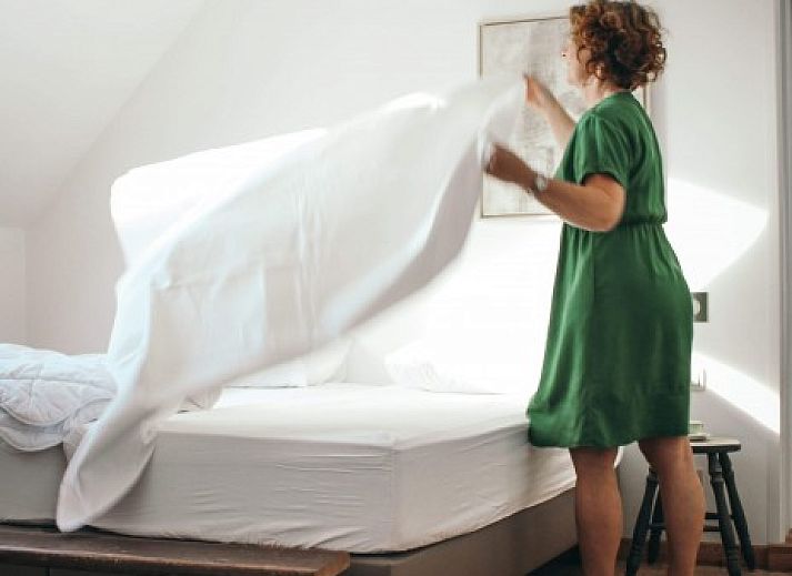 Rustic setting around Maracci vacation home Pervijze with pond and green fields.