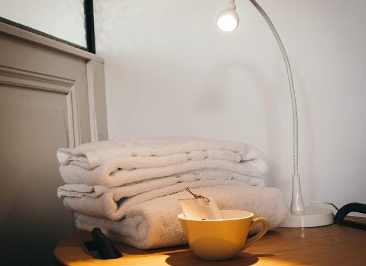 Rustic setting around Maracci vacation home Pervijze with pond and green fields.