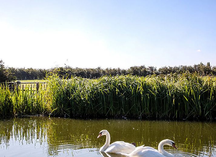 Cozy indoor space in Holiday home in Diksmuide, with comfortable sitting area in West Flanders, Belgium.