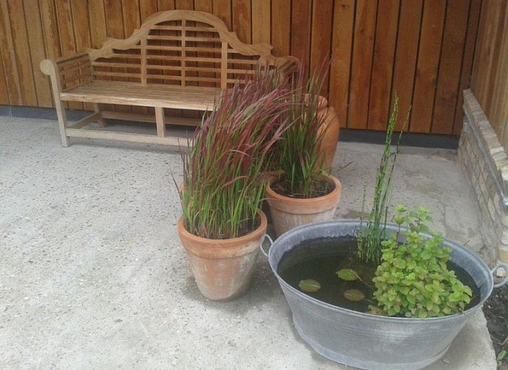 Guest house 019817 - Holiday property Belgian Coast - Hoeve Rietvelde