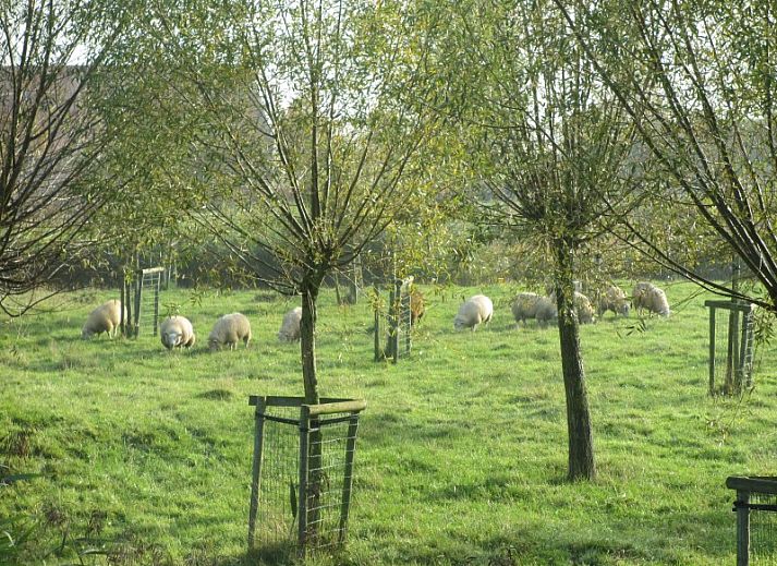 Guest house 019817 - Holiday property Belgian Coast - Hoeve Rietvelde