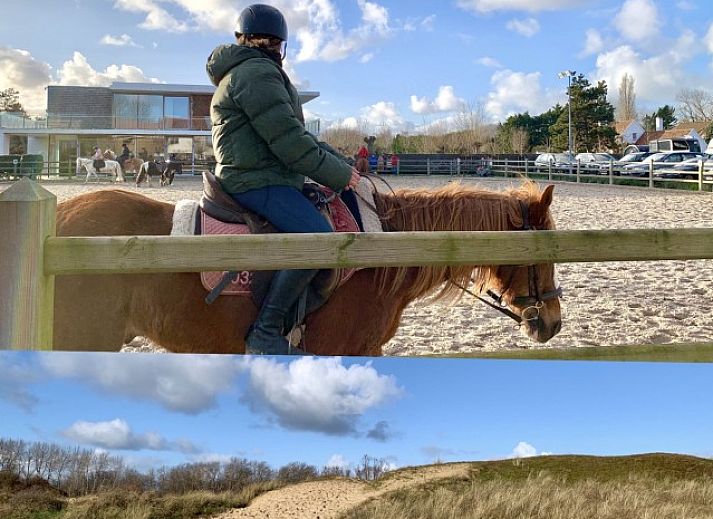 Gemuetlicher Aufenthaltsraum im Garten von Het Anker, einem Ferienhaus in Oostduinkerke, umgeben von ueppiger Vegetation.