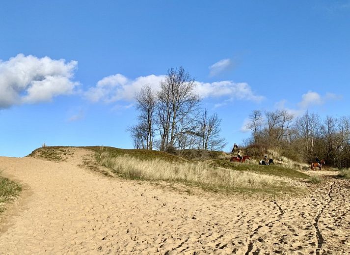 Gemuetlicher Aufenthaltsraum im Garten von Het Anker, einem Ferienhaus in Oostduinkerke, umgeben von ueppiger Vegetation.