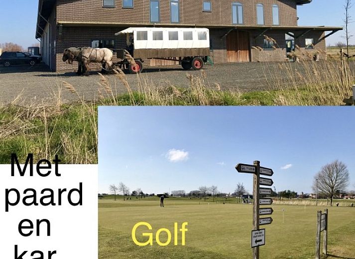 Gemuetlicher Aufenthaltsraum im Garten von Het Anker, einem Ferienhaus in Oostduinkerke, umgeben von ueppiger Vegetation.