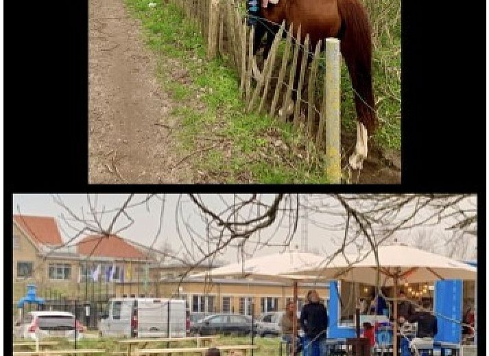 Rustikale Essecke aus Holz auf der Terrasse von Het Anker, Ferienhaus in Oostduinkerke, fuer entspannte Mahlzeiten im Freien.
