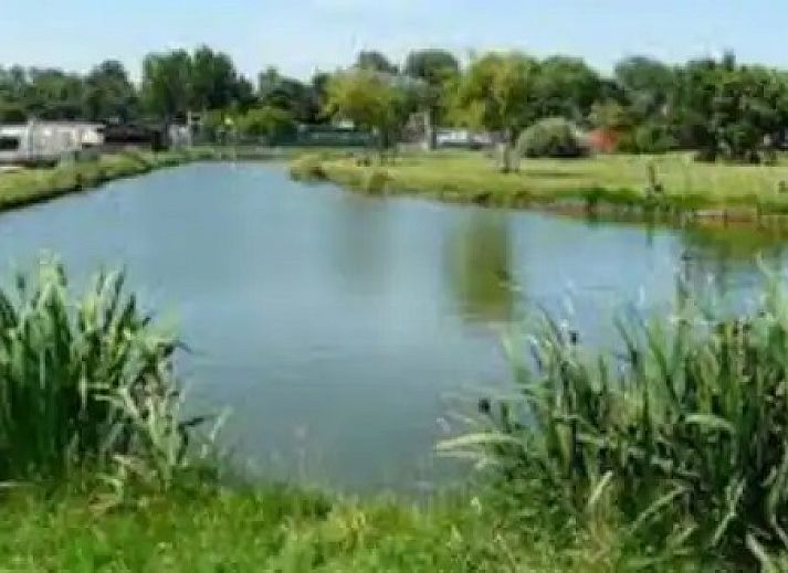 Zonnige veranda met ligstoelen bij Chalet chez Dune, Oostduinkerke, perfect voor relaxen in de natuur van West-Vlaanderen.