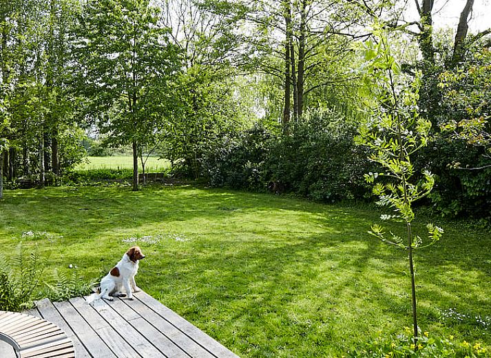 Guest house 020302 - Holiday property East Flanders - Huisje in Gent