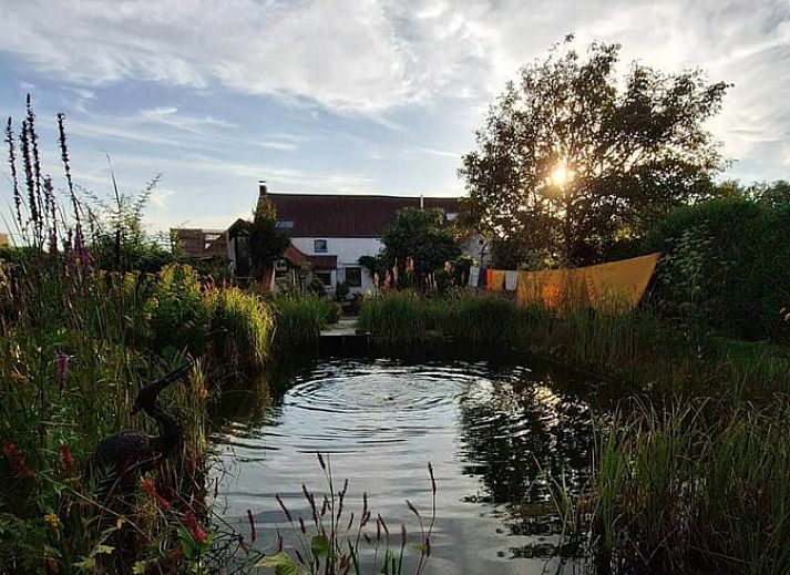 Guest house 020606 • Holiday property East Flanders • Vakantiehuisje in Zwalm 