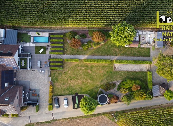 Geniet van het zwembad en het groene uitzicht bij de Vrijstaande woning in Geraardsbergen, vakantiehuis in Oost-Vlaanderen, Belgi.