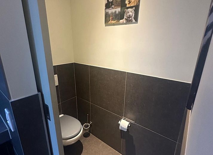 Geniet van het landelijke uitzicht en het zwembad bij de Vrijstaande woning in Geraardsbergen, een vakantiehuis in Oost-Vlaanderen, Belgi.