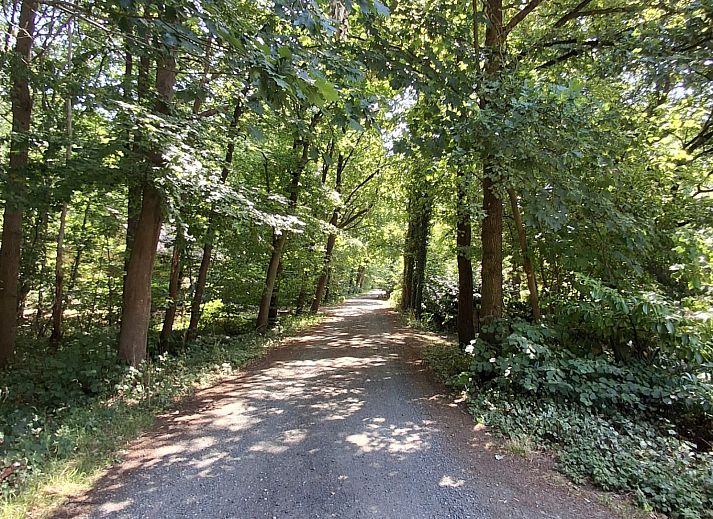 Guest house 0210609 - Holiday property East Flanders - BE005