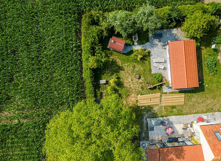 Geniessen Sie die Sonne auf der Terrasse des Ferienhauses in Assenede, Ostflandern, mit Schwimmbad und Liegestuehlen in gruener Umgebung.