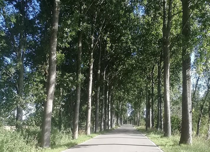 Entspannen Sie sich am Teich im Ferienhaus in Assenede, Ostflandern, mit Sonnenterrasse und Liegestuehlen fuer einen perfekten Urlaub.