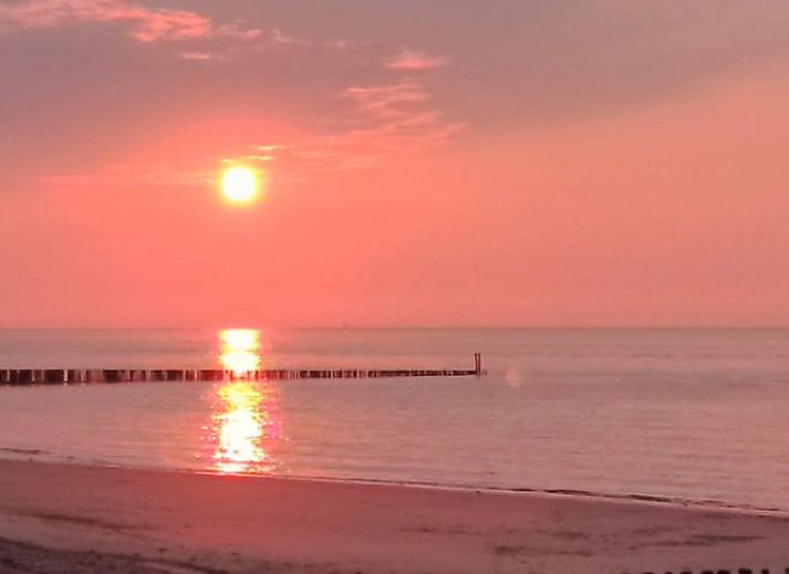Entspannen Sie sich am Teich im Ferienhaus in Assenede, Ostflandern, mit Sonnenterrasse und Liegestuehlen fuer einen perfekten Urlaub.
