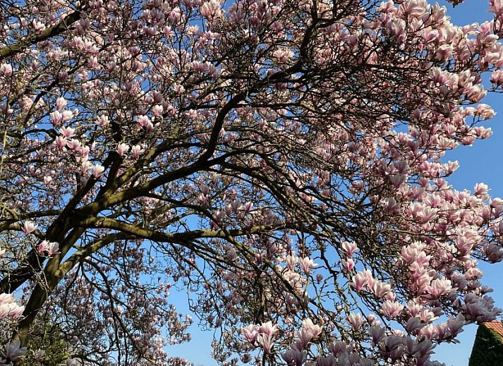 Modern elevator in DE KLEPPE vacation home in Brakel, accessible to all guests.