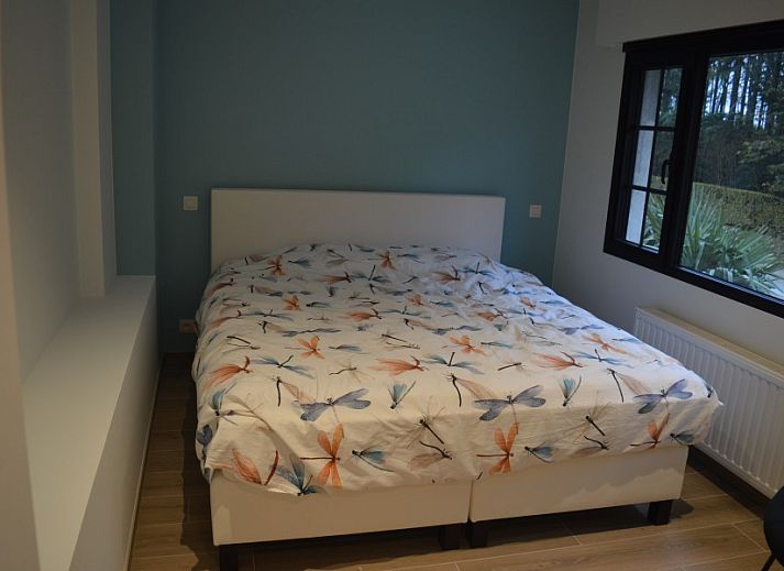 Gezellige hoek met stoel en planten in Villa Zonnewende, vakantiehuis in Maria-Aalter, Belgie.
