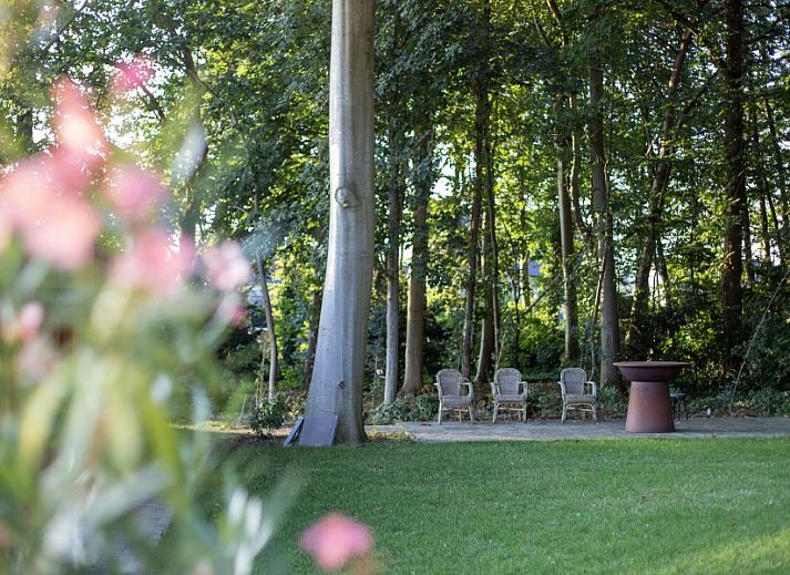 Stijlvolle keuken in Villa Zonnewende, vakantiehuis in Maria-Aalter, Belgie met veel natuurlijke lichtinval.