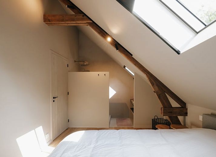 Guest house 0216701 - Holiday property East Flanders - Huisje in Haasdonk