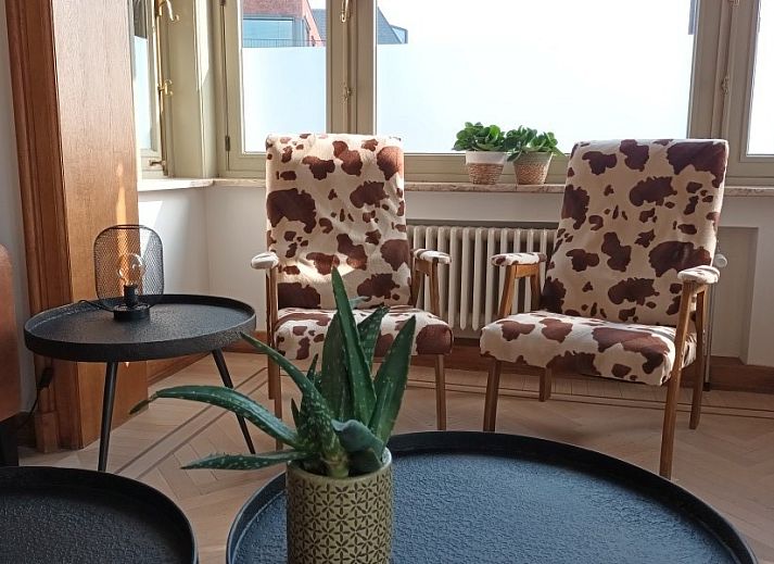 Guest house 0217504 - Holiday property East Flanders - De Brielparel