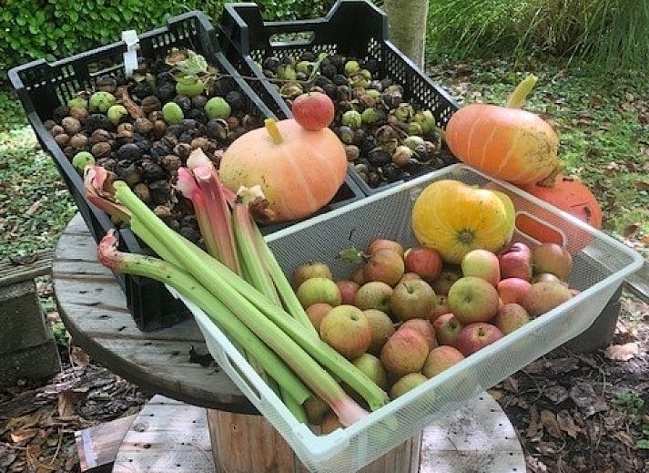 Abendliche Ansicht des Chalets Au Repeau in Moerzeke, Ostflandern, stimmungsvoll beleuchtet in der Natur.