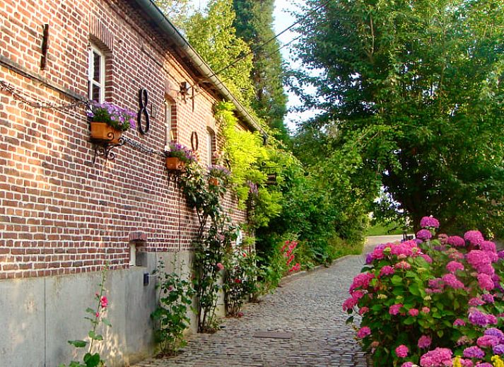 Guest house 0233206 - Holiday property East Flanders - Vakantiehuis in Horebeke