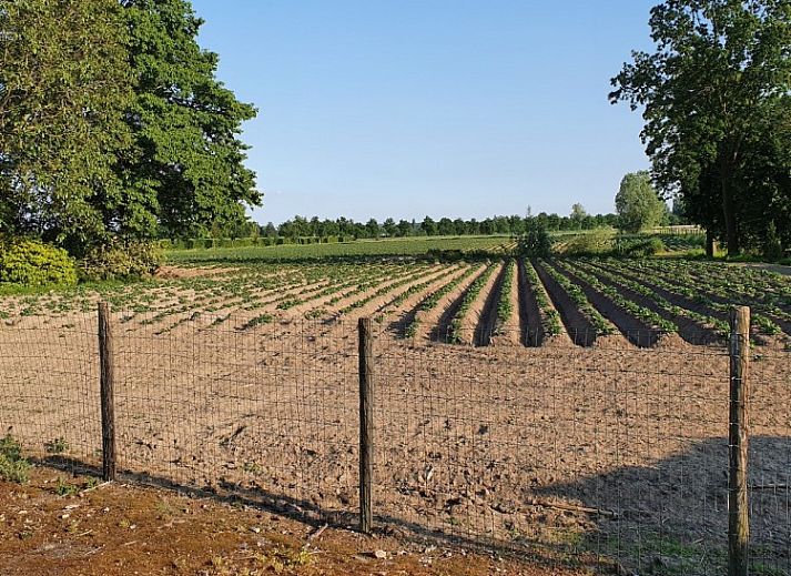 Verblijf 024602 - Vakantiewoning Oost-Vlaanderen - Hoeve Hoogeind