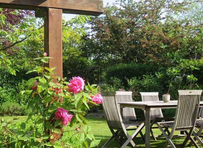 Guest house 025004 - Holiday property East Flanders - La Quitapenas