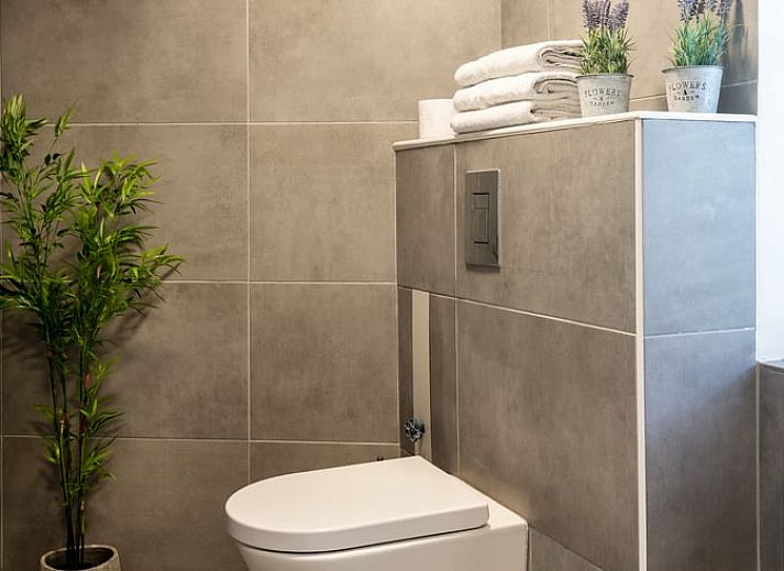 Gemuetlicher Aussenbereich des Ferienhauses in Ronse, Ostflandern, Belgien, mit Terrasse und Grill, ideal zum Entspannen.