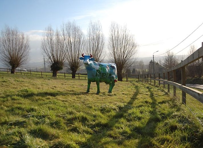 Geniessen Sie die sonnige Terrasse von Holiday home in Ronse, einem charmanten Ferienhaus im malerischen Ostflandern, Belgien.