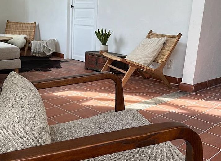 Gemuetliche Terrasse am Ferienhaus in Gavere Dikkelvenne, Ferienhaus in Dikkelvenne, Ostflandern, mit Holzstuehlen und Gruenpflanzen.