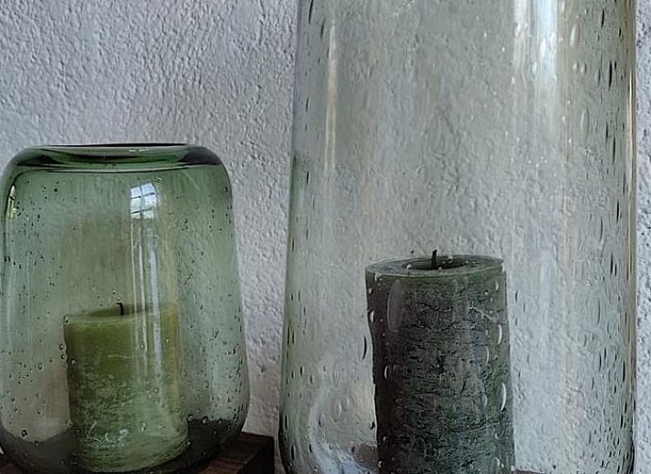 Gemuetliche Terrasse am Ferienhaus in Gavere Dikkelvenne, Ferienhaus in Dikkelvenne, Ostflandern, mit Holzstuehlen und Gruenpflanzen.