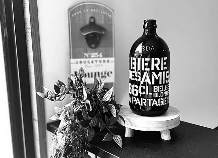 Gemuetliche Sitzecke im Ferienhaus in Merendree, Ostflandern, mit grossem Sofa und warmer Dekoration.