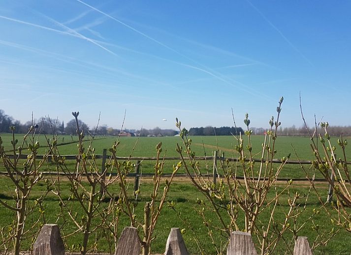Guest house 031201 - Holiday property Flemish Brabant - Witte Hoef