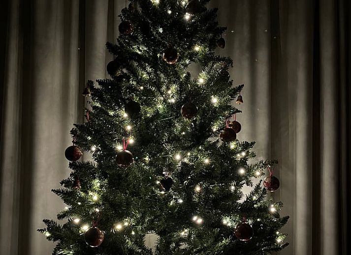 Guest house 0312104 - Holiday property Flemish Brabant - Huisje in Leuven Hageland