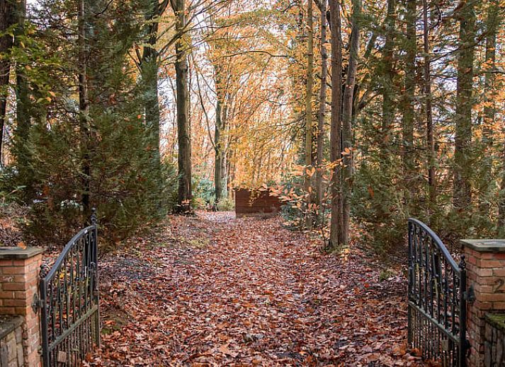 Guest house 0312104 - Holiday property Flemish Brabant - Huisje in Leuven Hageland