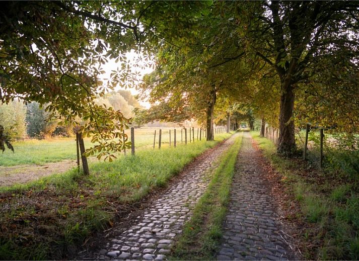Guest house 0319301 - Holiday property Flemish Brabant - VELPE55