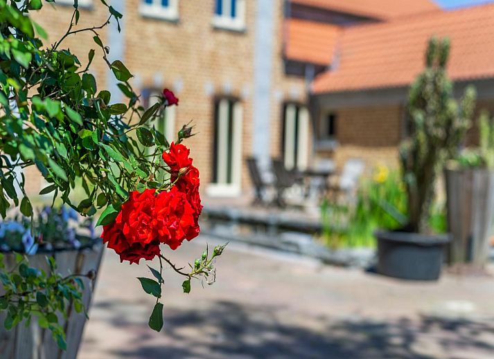 Dining area in Quanto A vacation home in Geetbets, Flemish Brabant with modern kitchen and lots of light.
