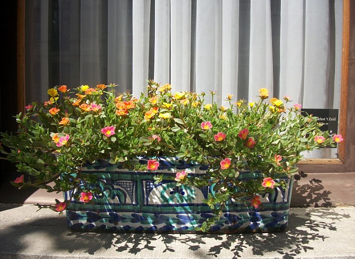 Modern bathroom in Bed and Breakfast 't Zuid, Antwerp, with spacious shower and stylish sink for optimal comfort.