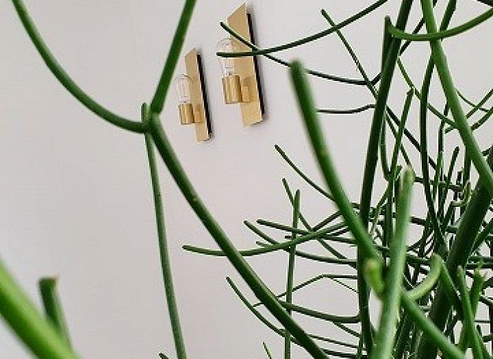 B&B El Bayo in Weelde, Antwerp offers a serene outdoor setting with modern architecture and green nature.