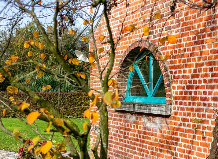 Gezellige eetruimte in vakantiehuis Alverwege, Merksplas, Antwerpen, Belgie, met houten interieur en uitzicht op de natuur.
