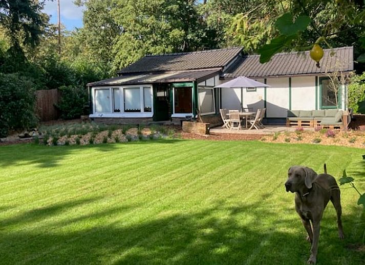 Cottage in Merksplas, cottage in Antwerp with spacious garden and terrace, surrounded by green nature.