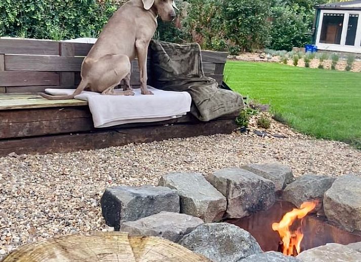 Cottage in Merksplas, cottage in Antwerp with spacious garden and terrace, surrounded by green nature.