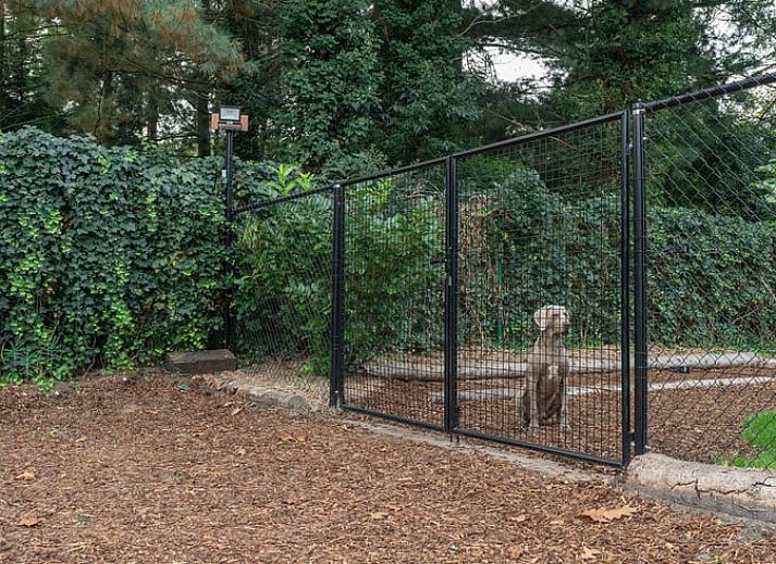 Cozy living room with wood stove in Cottage in Merksplas, vacation home in Antwerp, for cozy evenings.