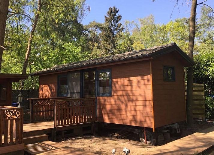 Cottage in Merksplas, cottage in Antwerp with campfire spot and rainbow in green surroundings.