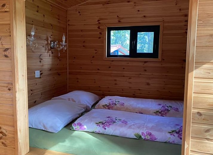 Veranda of Cottage in Merksplas, vacation accommodation in Antwerp surrounded by trees and nature.