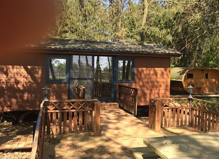 Wooden terrace at Cottage in Merksplas, cottage in Antwerp overlooking wooded area.