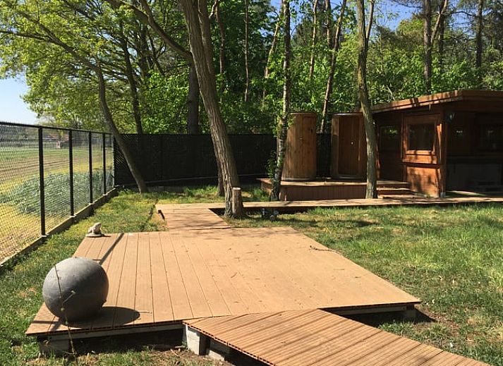 Wooden terrace at Cottage in Merksplas, cottage in Antwerp overlooking wooded area.