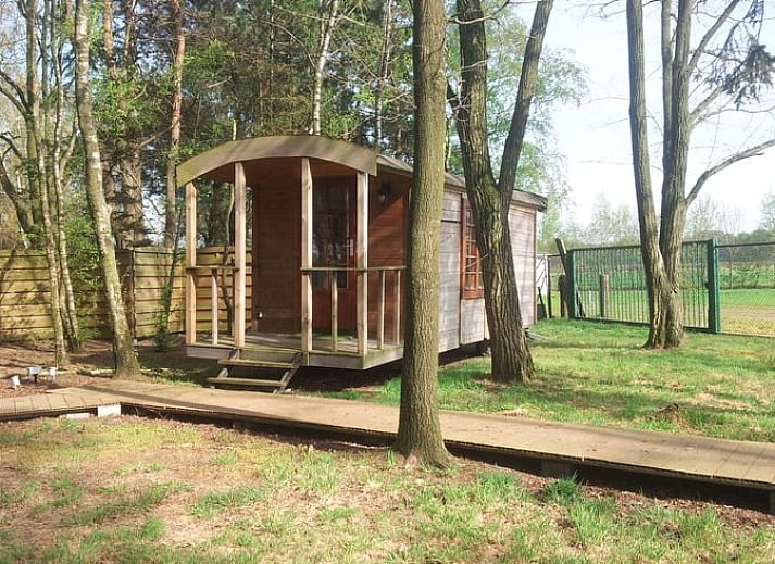 Rustic wooden cottage, Cottage in Merksplas, located in the green nature of Antwerp.