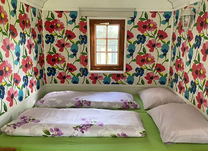 Rustic wooden cottage, Cottage in Merksplas, located in the green nature of Antwerp.