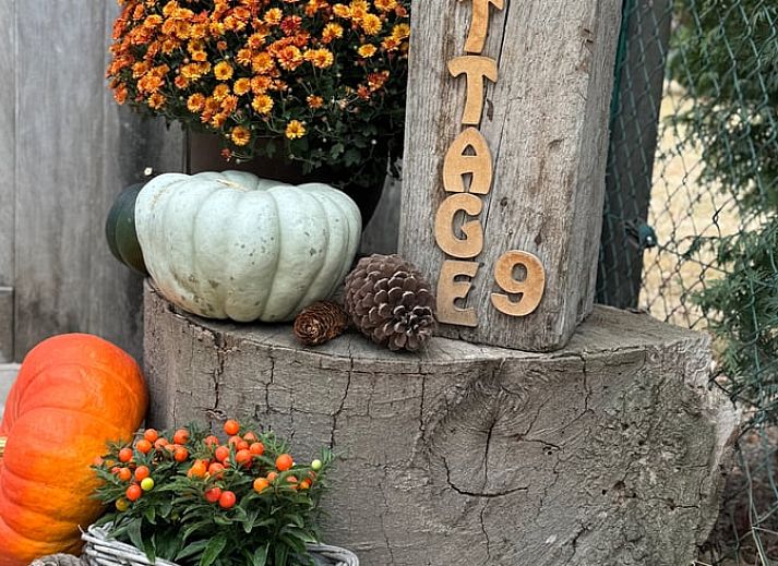 Vacation home in Merksplas, Antwerp, offers a cozy outdoor area with terrace surrounded by green nature for a relaxing stay.